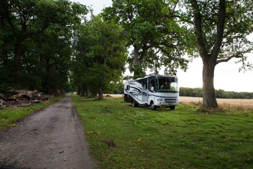 The site at Brahan takes up to 5 vans and is ranged along an old  tree-lined drive, the ha-ha supplying an uninterrupted view across the field